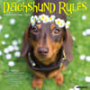 image Dachshund Rules 2026 Wall Calendar Main Image
