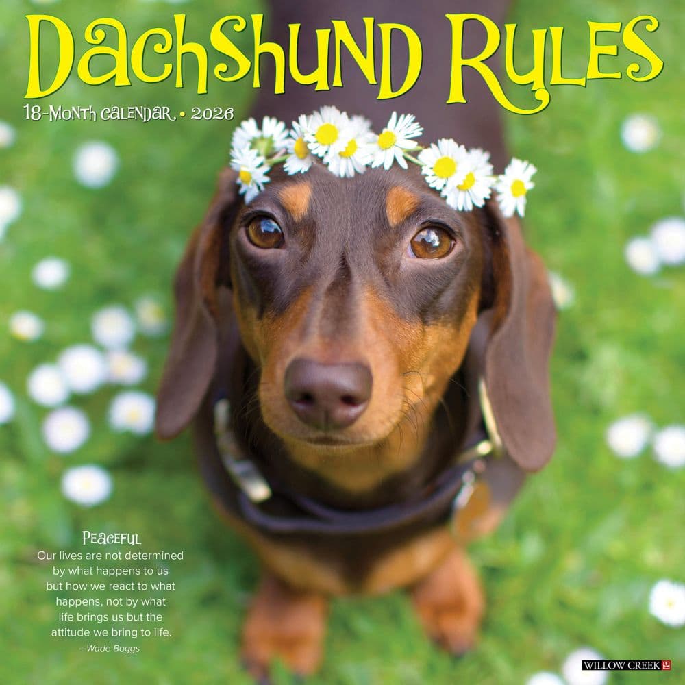 Dachshund Rules 2026 Wall Calendar Main Image