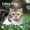 image Calico Cats 2025 Wall Calendar  Main Image