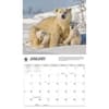 image Polar Bears WWF 2026 Wall Calendar Second Alternate Image