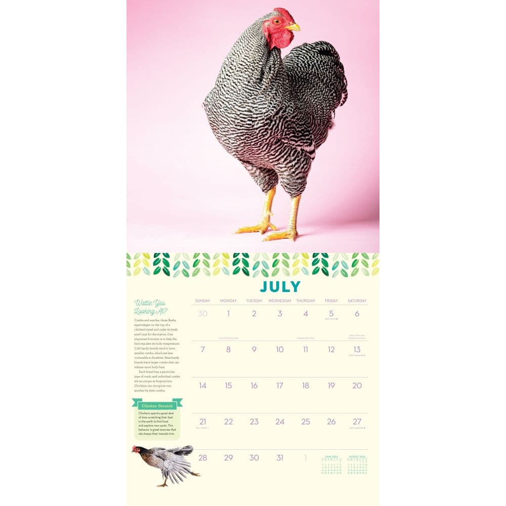 How to Speak Chicken 2024 Wall Calendar Alternate Image 2