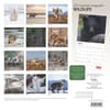 image Wildlife 2025 Wall Calendar back cover image