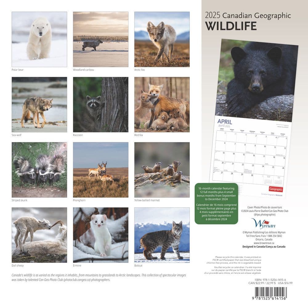 Wildlife 2025 Wall Calendar back cover image