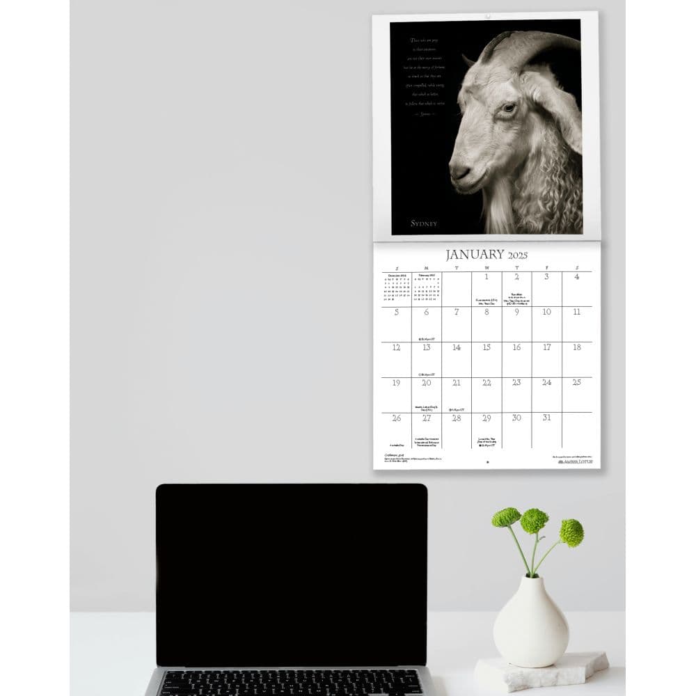 I am Goat 2025 Wall Calendar Fourth Alternate Image