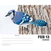 image Backyard Birds 2025 Desk Calendar