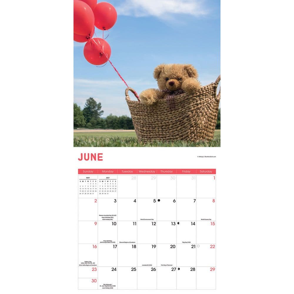 Teddy Bears 2025 Wall Calendar