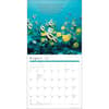 image Power of Now 2025 Wall Calendar First Alternate Image width=&quot;1000&quot; height=&quot;1000&quot;