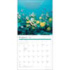 image Power of Now 2025 Wall Calendar Second Alternate Image