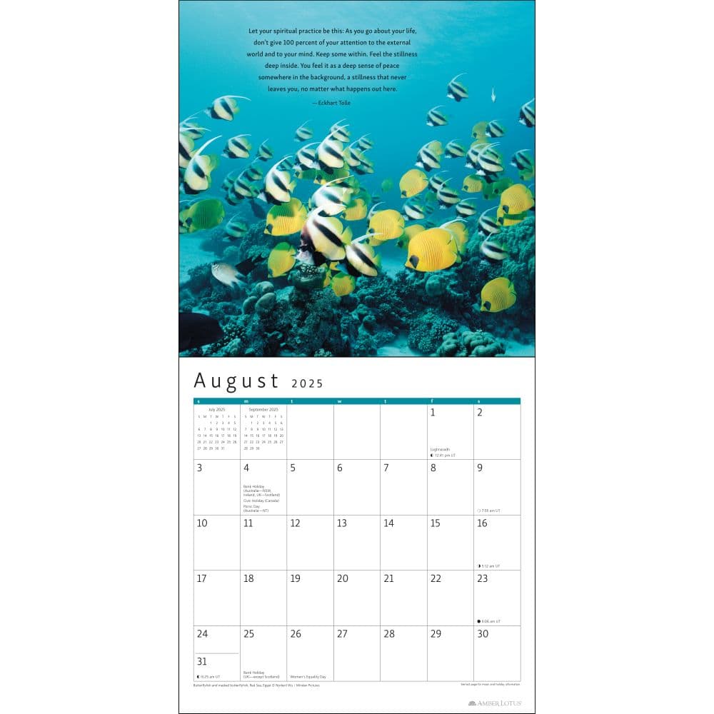 Power of Now 2025 Wall Calendar First Alternate Image width=&quot;1000&quot; height=&quot;1000&quot;