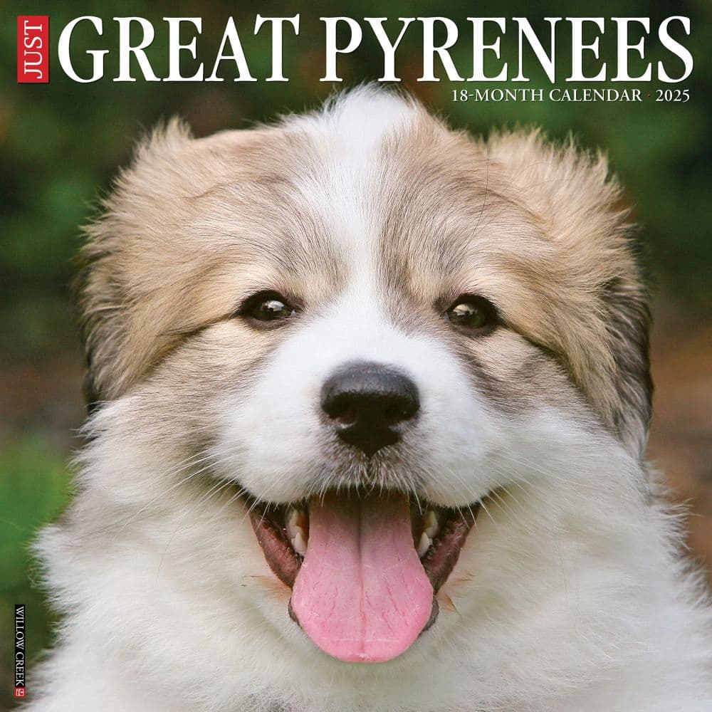 Great Pyrenees 2025 Wall Calendar