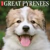 image Great Pyrenees 2025 Wall Calendar Main Image