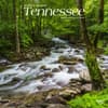 image Tennessee Wild and Scenic 2024 Wall Calendar Main Product Image width=&quot;1000&quot; height=&quot;1000&quot;