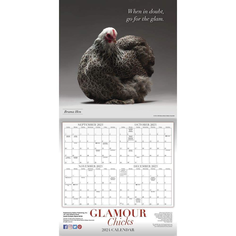 Glamour Chicks 2024 Wall Calendar