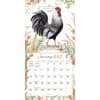 image Roosters by Susan Winget 2025 Wall Calendar Second Alternate Image width=&quot;1000&quot; height=&quot;1000&quot;