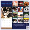 image Dog Dreams 2025 Wall Calendar Alt1