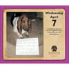 image Dog Shaming 2027 Desk Calendar Fifth Alternate Image