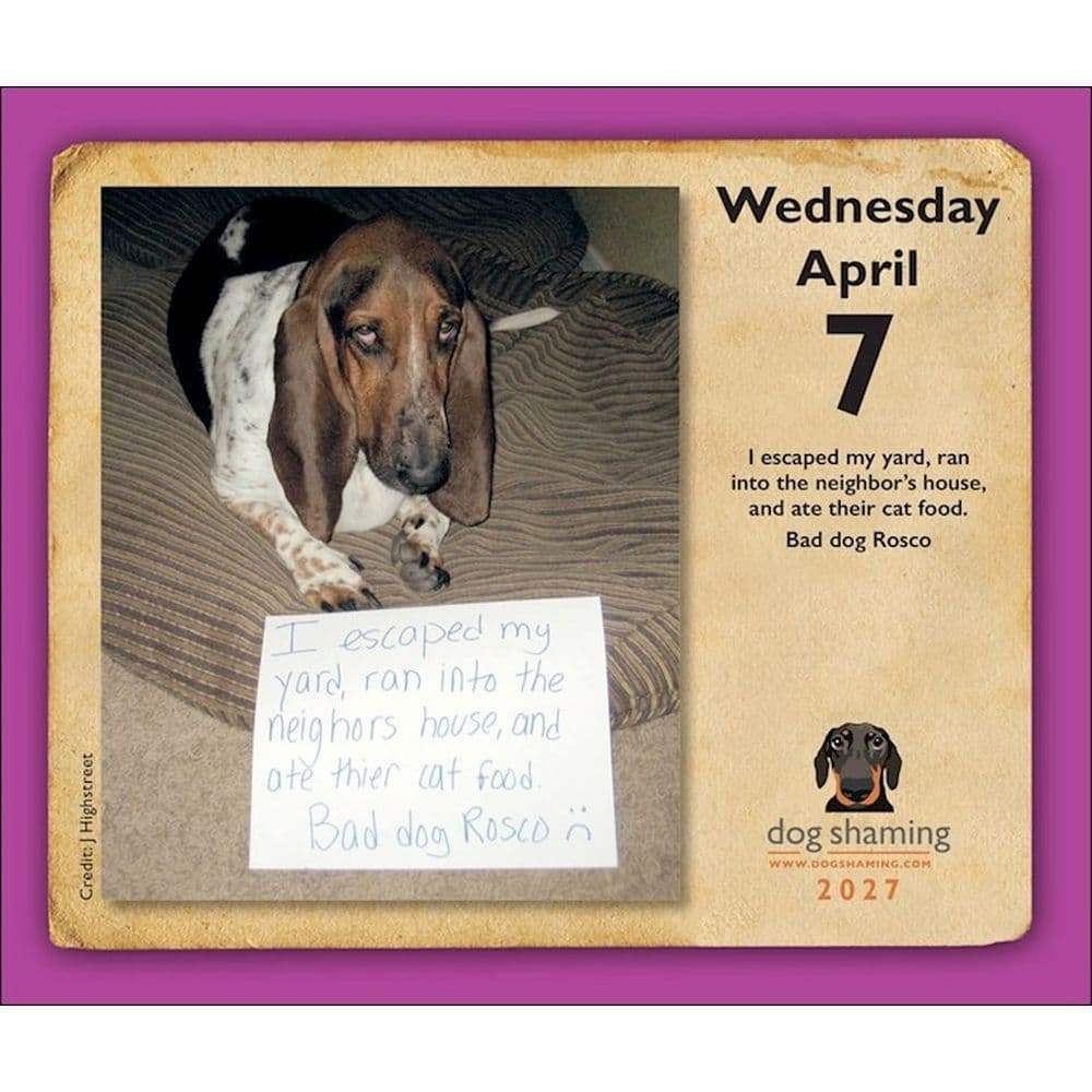 Dog Shaming 2027 Desk Calendar Fifth Alternate Image
