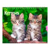 image Kittens 2024 Easel Desk Calendar Main Product Image width=&quot;1000&quot; height=&quot;1000&quot;