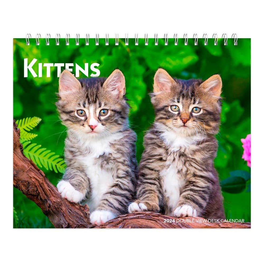 Kittens 2024 Easel Desk Calendar Main Product Image width=&quot;1000&quot; height=&quot;1000&quot;