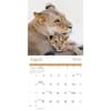 image Baby Animals 2025 Wall Calendar Third Alternate Image width=&quot;1000&quot; height=&quot;1000&quot;