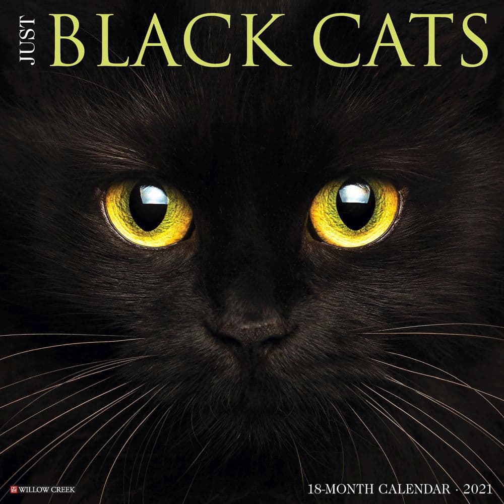 Black Cats 2021 Calendar