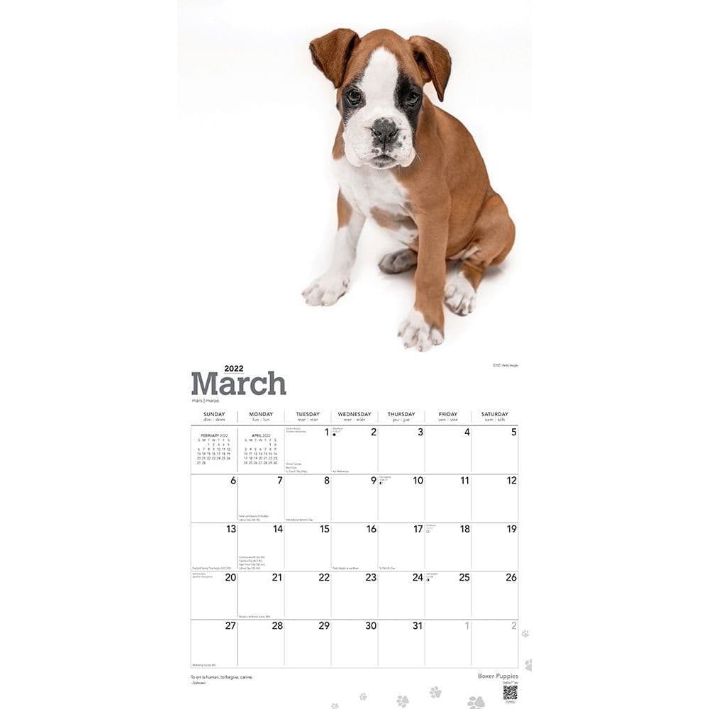 Boxer Puppies 2022 Wall Calendar - Calendars.com