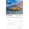 image Sea Turtles WWF 2026 Wall Calendar Second Alternate Image
