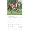 image Quarter Horses 2025 Wall Calendar