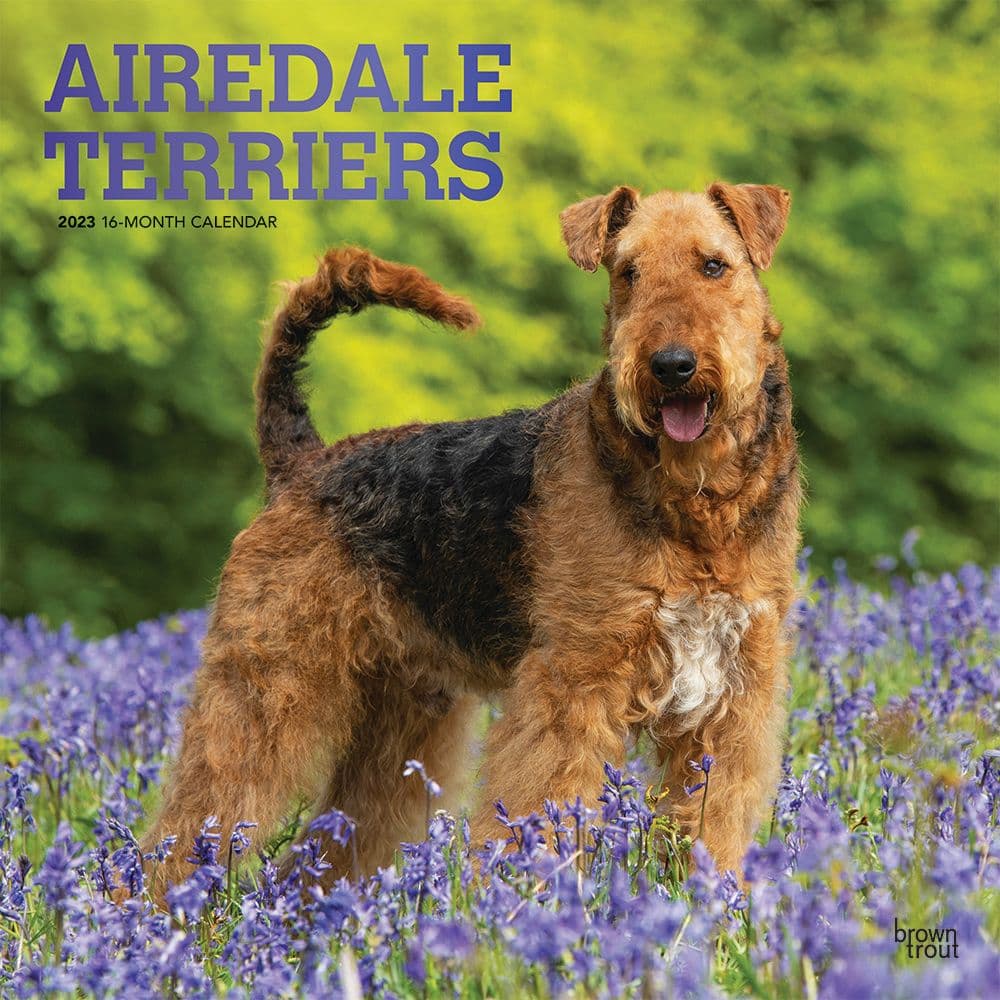 BrownTrout Airedale Terriers 2023 Square Wall Calendar