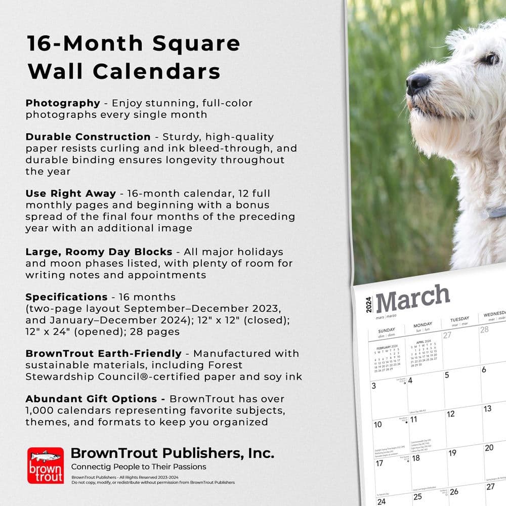 Labradoodles 2024 Wall Calendar Fourth Alternate Image width=&quot;1000&quot; height=&quot;1000&quot;