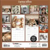 image Curious Kittens Photo 2025 Mini Wall Calendar