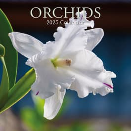 Orchids 2025 Wall Calendar