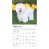 image Bichon Frise 2025 Mini Wall Calendar