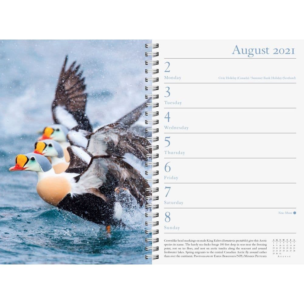 audubon-planner-calendars