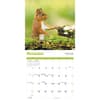 image Squirrels 2025 Wall Calendar Fourth Alternate Image width=&quot;1000&quot; height=&quot;1000&quot;