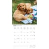 image Puppy Love 2025 Wall Calendar Fourth Alternate Image width=&quot;1000&quot; height=&quot;1000&quot;