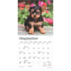 image Yorkshire Terrier Puppies 2025 Mini Wall Calendar Third Alternate Image width=&quot;1000&quot; height=&quot;1000&quot;