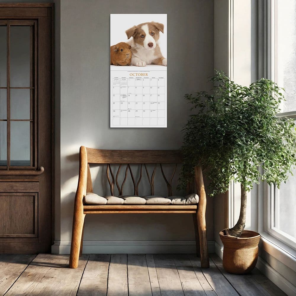 Puppies and Friends 2025 Wall Calendar Fourth Alternate Image width=&quot;1000&quot; height=&quot;1000&quot;