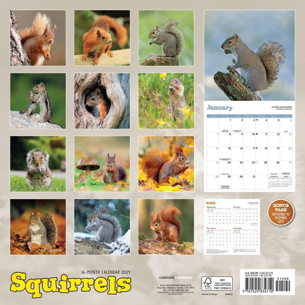 Squirrels 2024 Wall Calendar