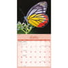 image Butterflies Special Value 2026 Wall Calendar Fourth Alternate Image