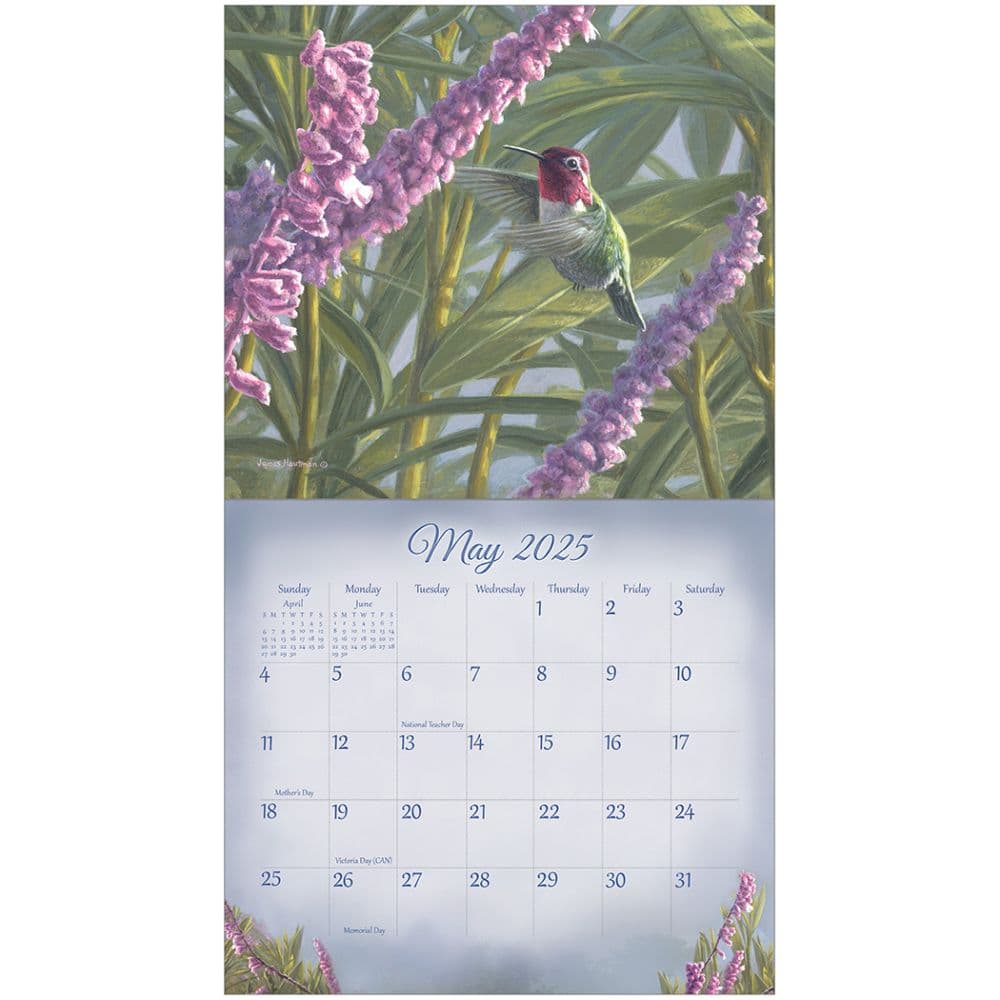 Songbirds 2025 Mini Wall Calendar Second Alternate Image width=&quot;1000&quot; height=&quot;1000&quot;