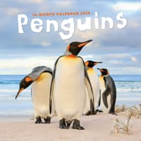 image Penguins 2026 Wall Calendar Main Image