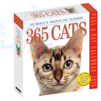 image Cats 365 2026 Desk Calendar Main Product Image