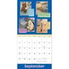 image We Rate Dogs 2026 Wall Calendar Fifth Alternate Image