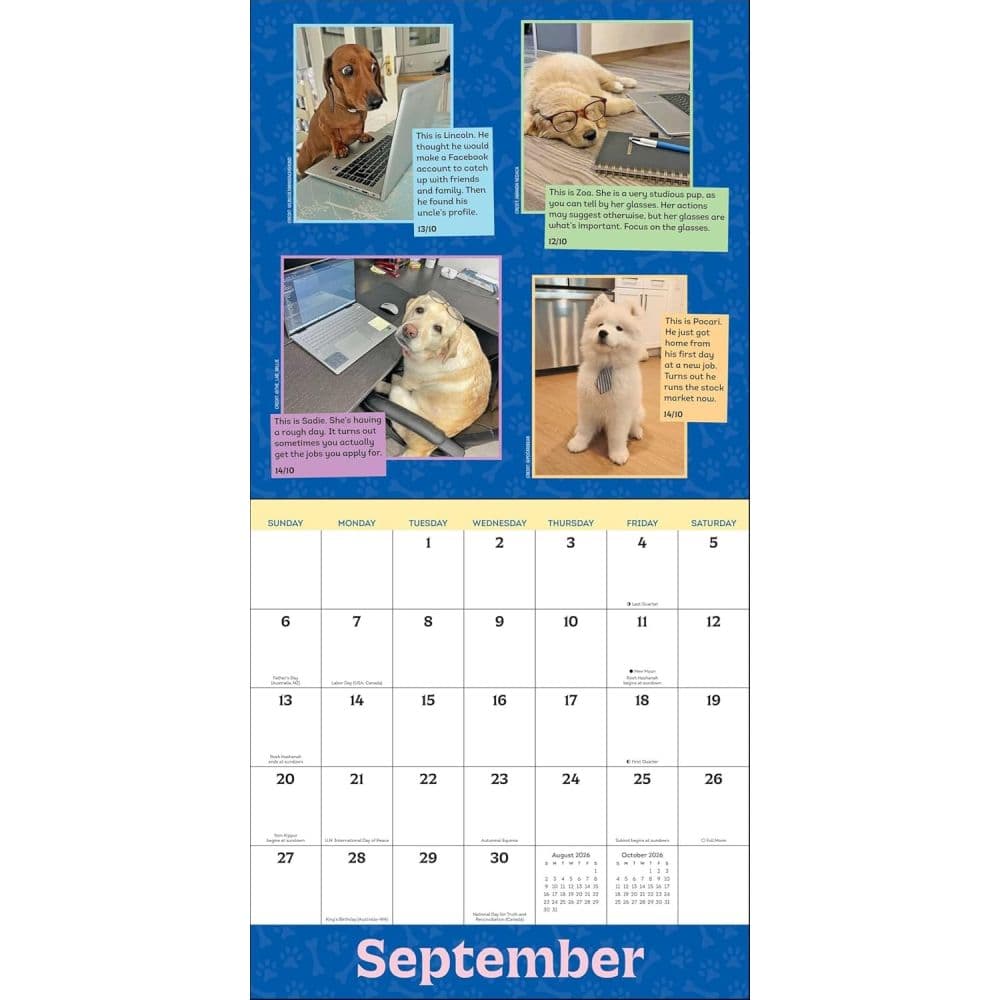 We Rate Dogs 2026 Wall Calendar Fifth Alternate Image