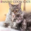 image Just Maine Coon Cats 2025 Wall Calendar Main Image