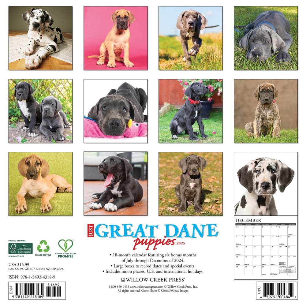 Great Dane Puppies 2025 Wall Calendar First Alternate Image width=&quot;1000&quot; height=&quot;1000&quot;