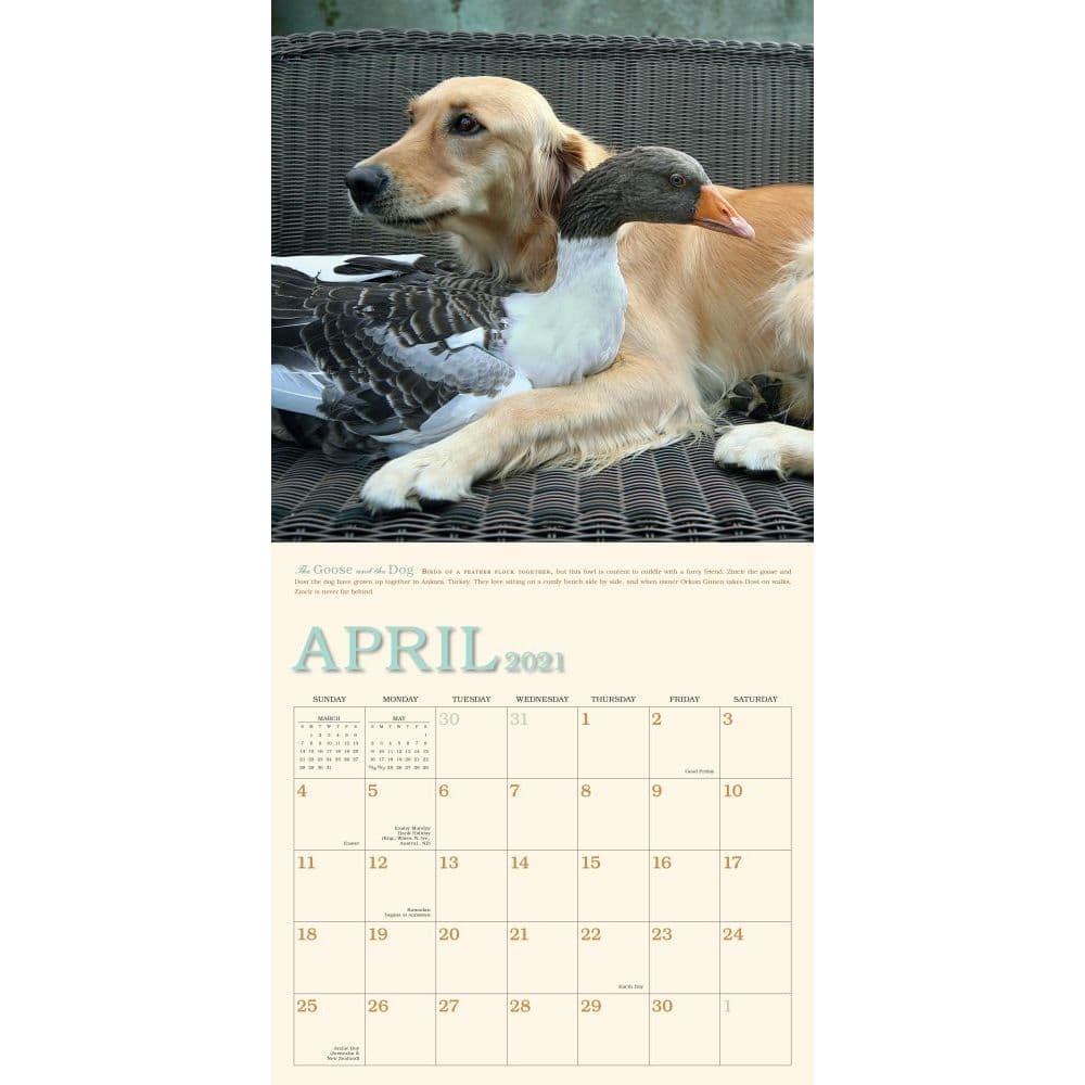 Unlikely Friendships Wall Calendar