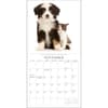 image Puppies &amp; Friends 2024 Wall Calendar Fourth Alternate Image width=&quot;1000&quot; height=&quot;1000&quot;