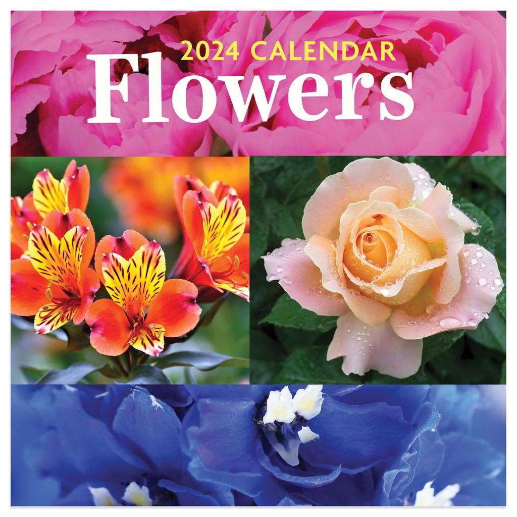 Flowers 2024 Mini Wall Calendar Main Image